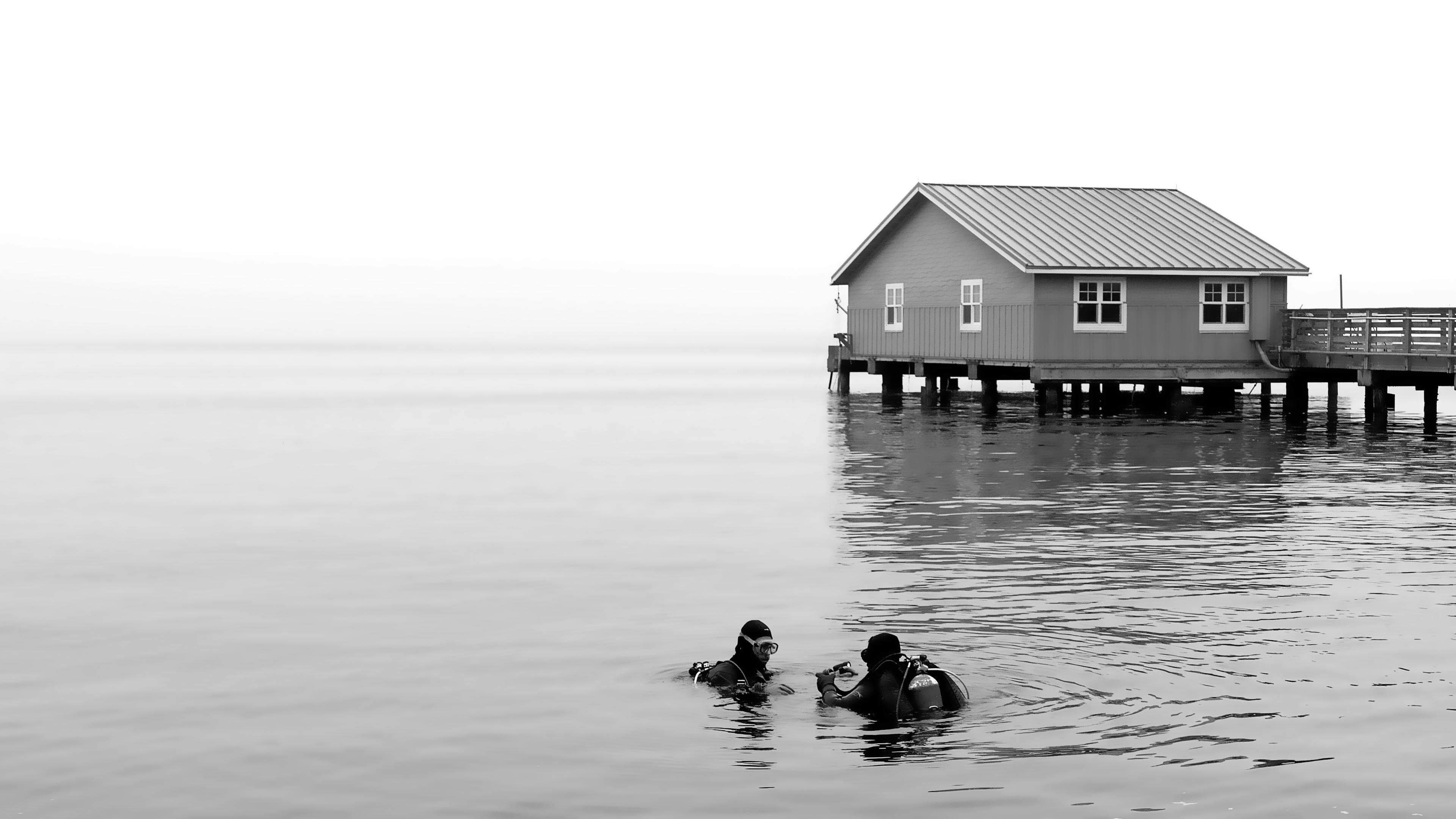 Diver exploring a reef